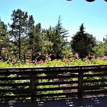 Trieste59 4* Trieste