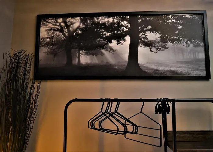 Bed & Breakfast Trieste59